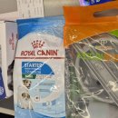 도그라이프 대구강아지분양 이미지