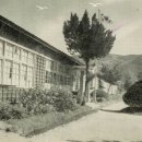 임원초등학교 이미지