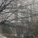 구월1동-17 이미지