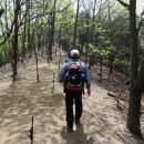 금남목장 이미지