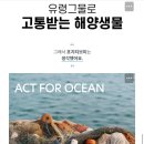 포지티브미 이미지