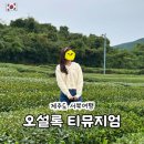 소요초등학교 | 제주도 서쪽 여행코스 오설록 티뮤지엄 카페 이니스프리 녹차밭