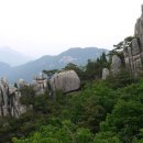 2026년9월19일 용봉산 - 아산 이미지