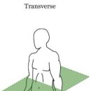 팀타이거짐 13호점 이미지