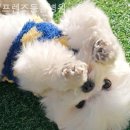 프렌즈동물병원 이미지