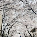 찬란한 태권도장 이미지