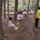 새보화어린이집 이미지