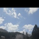 미시 - 부산진구 엄광로12번길 61-3 | 구마모토 숨은 명소 :) 카미시키미 쿠마노이마스 신사 혼자 다녀온 후기 🌲