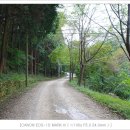 마산리_마을진입로_005 | [나주여행]나주가볼만한곳,불회사