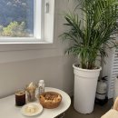 평강목장 이미지