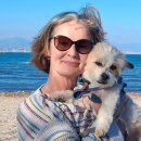 Ogu Ogu Dog 이미지