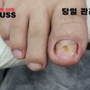 레푸스사상점