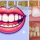 굿모닝뉴욕치과의원 이미지