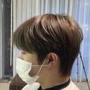 호네헤어