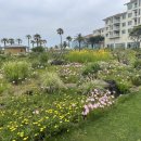 정온정형외과 의원 이미지