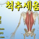 세움한의원 | 척주세움근 통증 치료 후기 - 사암오행침, 사암침법, 오행침, 정통사암침