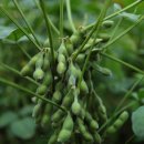 민기농장 이미지