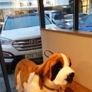 메리블루 이미지