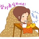 (주)갑당약초