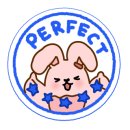 피피컴퍼니