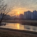 새벽노을 이미지