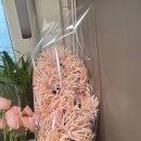 터미널시장 | 고속터미널 꽃시장 후기, 동네 꽃집의 절반값으로 꽃다발 만들기