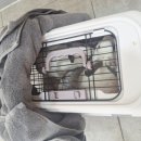 부천준동물병원 이미지