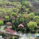 자연온누리약국 이미지