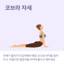 좋은요가