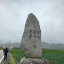 강진-21 이미지