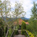 지리산명성농원 이미지