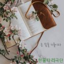 써브텍스트 Daum카페