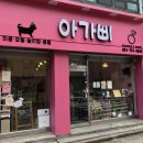 아가삐 | 댕댕이들 큐티뽀짝해질 시간~ 부산 광안리 애견미용 &lt;아가삐&gt;