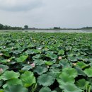 기지제수변공원 이미지
