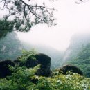 멍텅구리 이미지