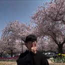 송무원 Daum카페
