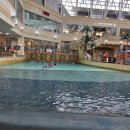 동성대중목욕탕 | [강원도 홍천] 워터파크 &#39;오션월드&#39; 성수기 방문 후기