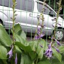 옥주농장 이미지