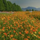 구리한강시민공원 이미지