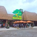 씨유 양산북부중앙점 | 푸꾸옥 빈펄사파리 꿀팁, 아이랑 베트남 여행