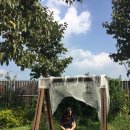 스테이 장성 이미지