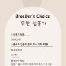 테라핀갤러리TERRAPINGALLERY