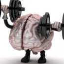 머슬메모리 이미지