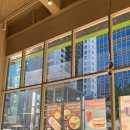 수경농장 | 서초구 서초 * 수경재배되는 채소로 만든 음식 리브팜 교대역 샐러드 후기