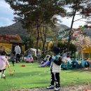 서울 근교 글램핑 :: 4살 아이와 함께하는 글램핑, 보리산캠핑장(가성비굿굿)
