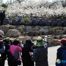 한수 - 송파구 위례성대로6길 50 | 한수