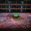 무브먼트 프로젝트 이미지