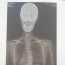 세진정형외과의원 이미지