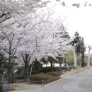 계명대학교 대명캠퍼스 이미지