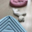 반도보라세탁 이미지